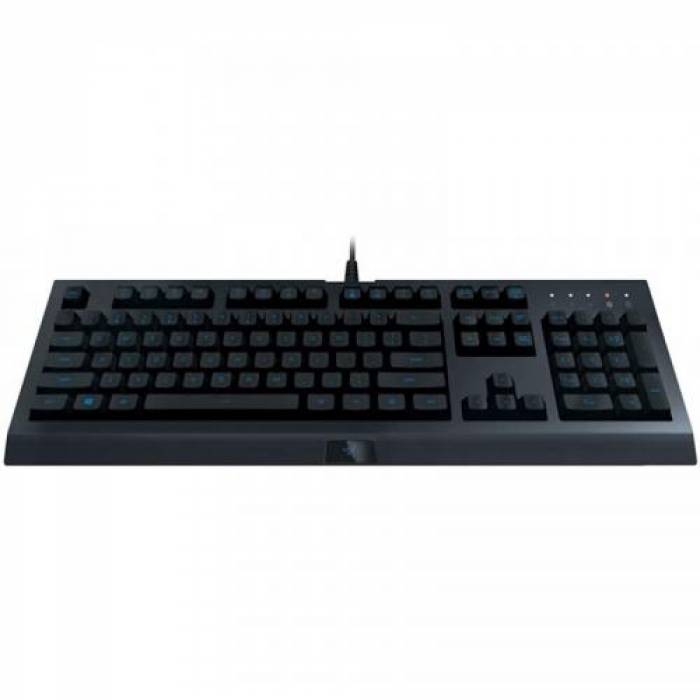Tastatura Razer Cynosa Lite, RGB LED, USB, Black