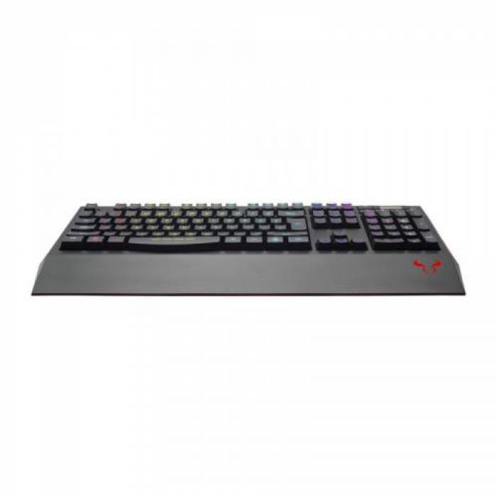 Tastatura Riotoro Ghostwriter Classic, RGB LED, USB, Black