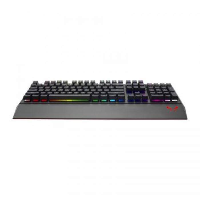 Tastatura Riotoro Ghostwriter, RGB LED, USB, Black