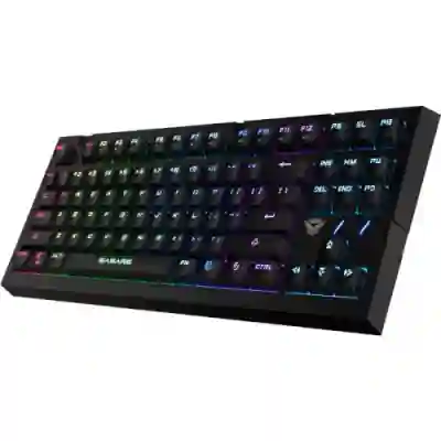 Tastatura Somic Easars Flare, RGB LED, USB, Black