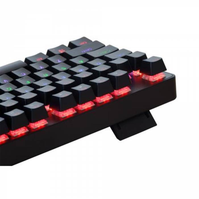 Tastatura Spacer SPKB-MK-IMMORTAL, RGB LED, USB, Black