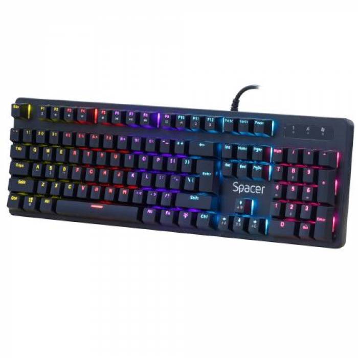 Tastatura Spacer SPKB-MK-WAR, RGB LED, USB, Layout US, Black