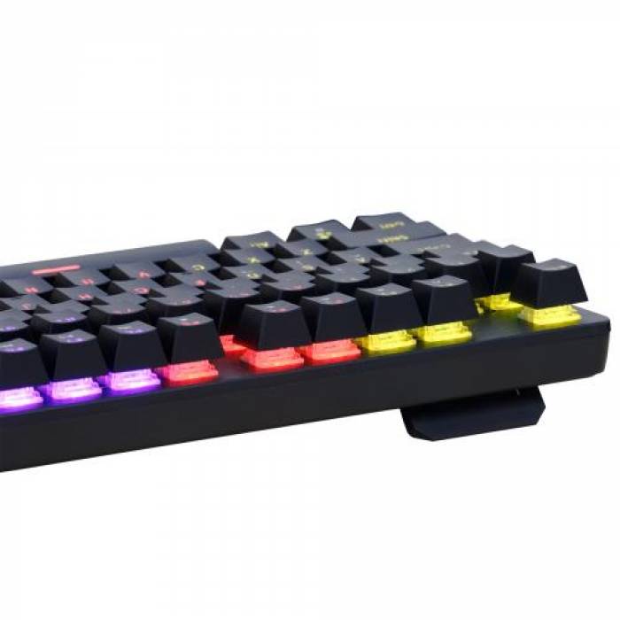 Tastatura Spacer SPKB-MK-WAR, RGB LED, USB, Layout US, Black