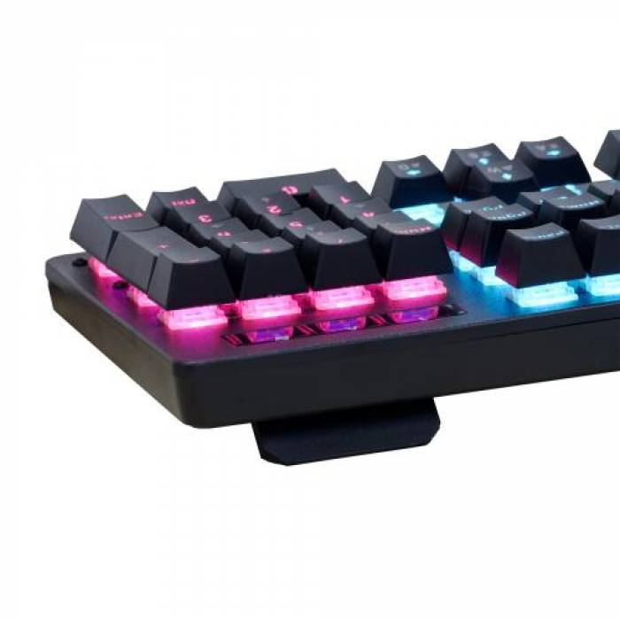 Tastatura Spacer SPKB-MK-WAR, RGB LED, USB, Layout US, Black