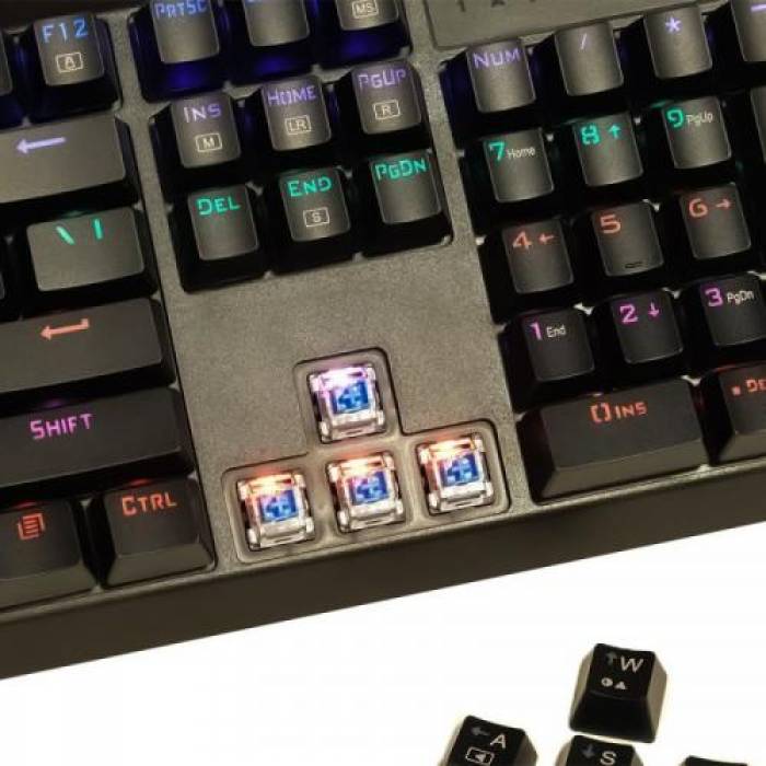 Tastatura T-Dagger Pavones, RGB LED, USB, Black