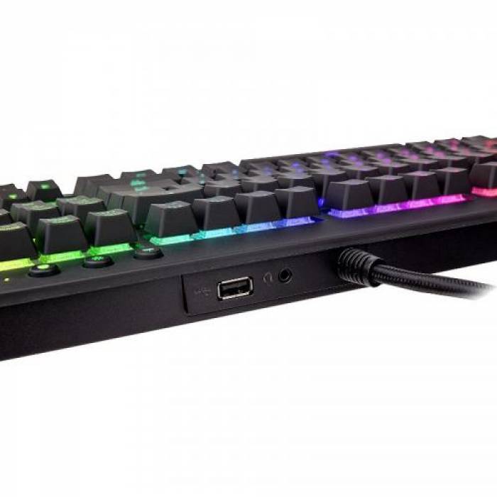 Tastatura Thermaltake Tt eSPORTS Premium X1 Cherry MX Blue, USB, Black