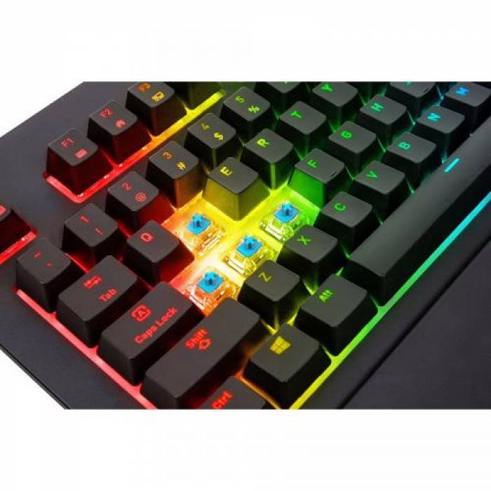 Tastatura Thermaltake Tt eSPORTS Premium X1 Cherry MX Blue, USB, Black