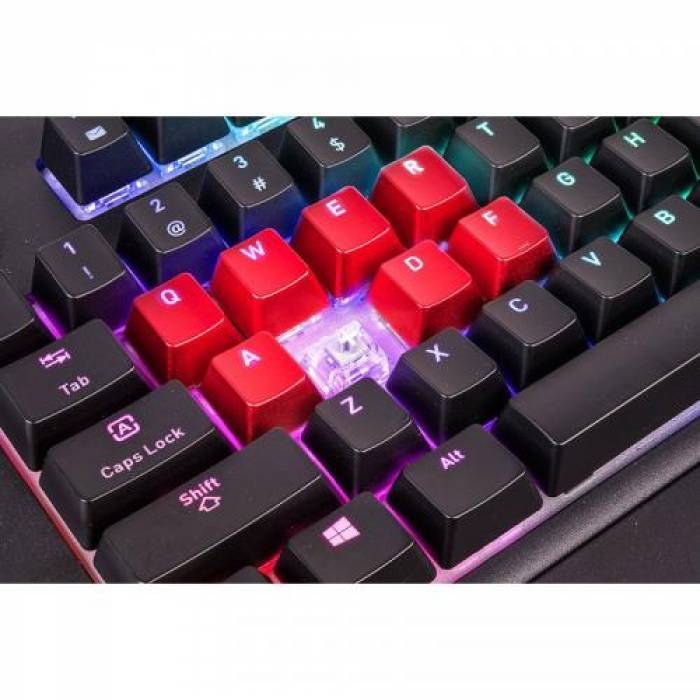 Tastatura Thermaltake Tt eSPORTS Premium X1 Cherry MX Silver, USB, Black