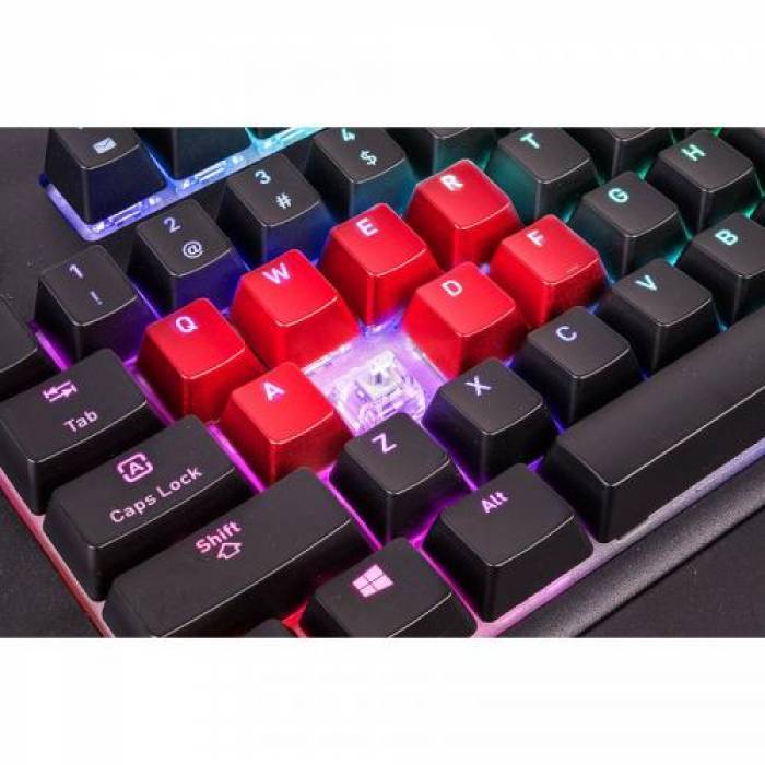 Tastatura Thermaltake Tt eSPORTS Premium X1 Cherry MX Silver, USB, Black