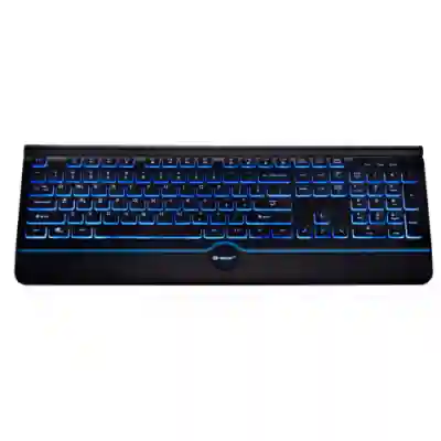 Tastatura Tracer Ofis Pro, Blue LED, USB, Black