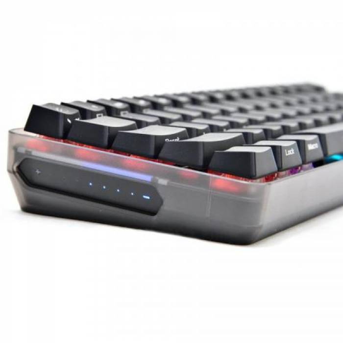 Tastatura wireless ASUS ROG Falchion Cherry MX Red Mecanica, RGB LED, USB, Black