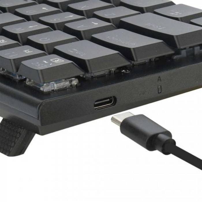 Tastatura Wireless Redragon Anivia Pro, RGB LED, USB Wireless/Bluetooth, Black