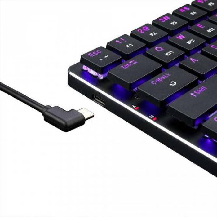Tastatura Wireless Redragon Elise Pro, RGB LED, USB Wireless/Bluetooth, Black