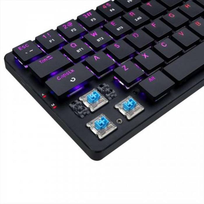 Tastatura Wireless Redragon Elise Pro, RGB LED, USB Wireless/Bluetooth, Black