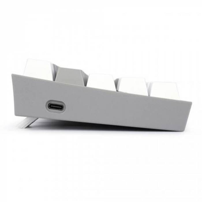 Tastatura Wireless Redragon Fizz Pro, RGB LED, USB Wireless/Bluetooth, White-Grey