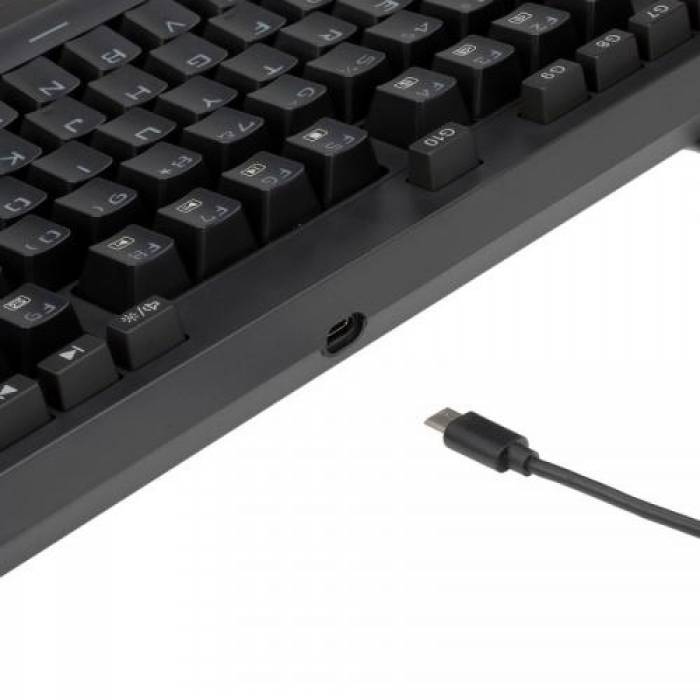 Tastatura wireless Redragon Vishnu Mecanica, RGB LED, USB, Black